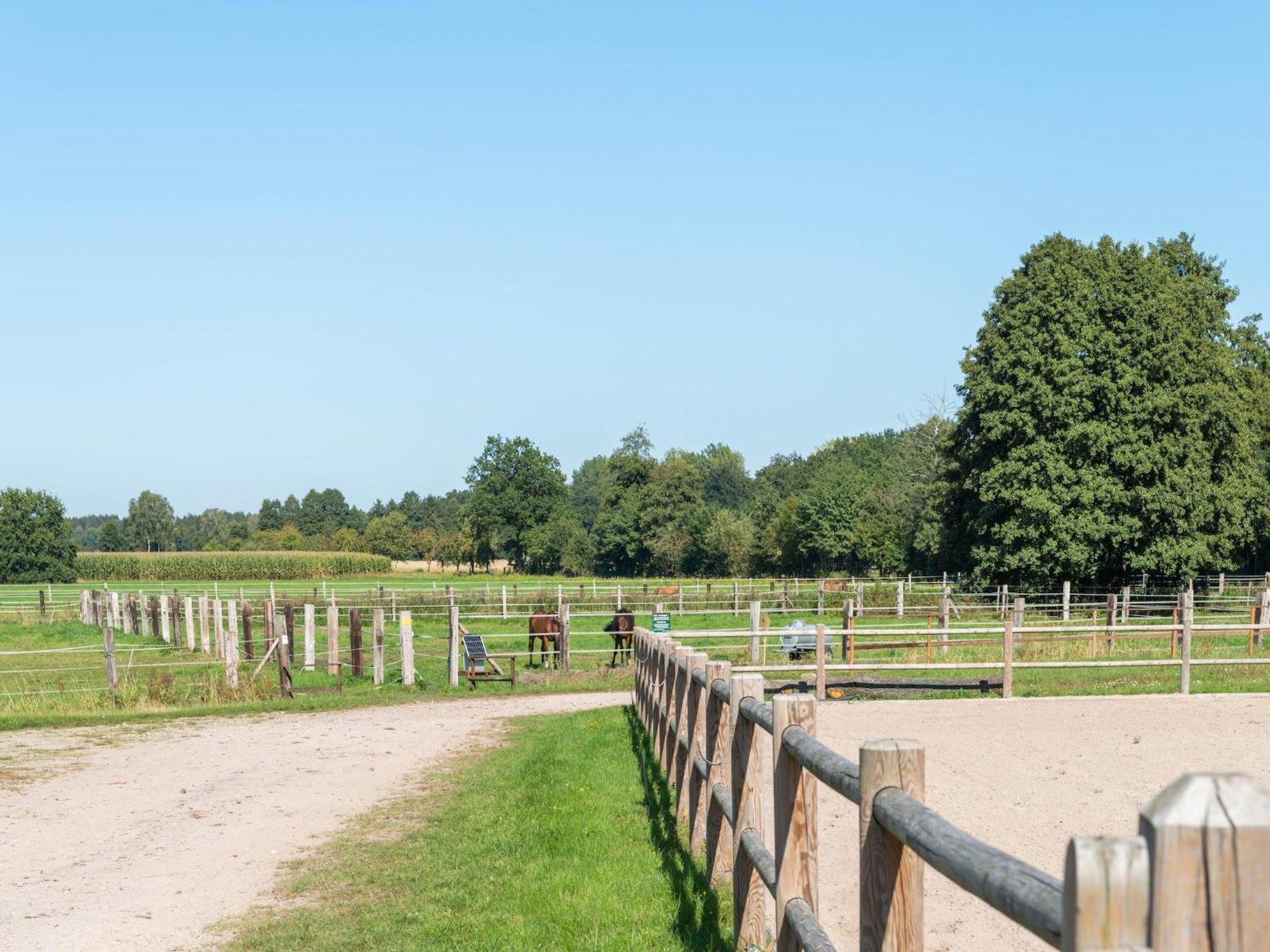 Holiday Home On A Horse Farm In The L Neburg Heath Eschede Exterior photo